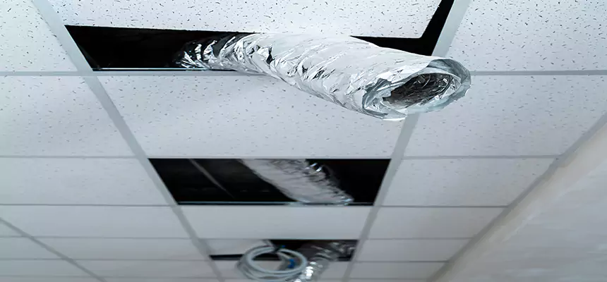 Affordable HVAC Sanitizing After Pest Removal in Islip