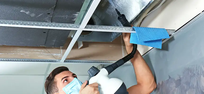 Our Air Duct Rodent Removal Services in Islip, NY