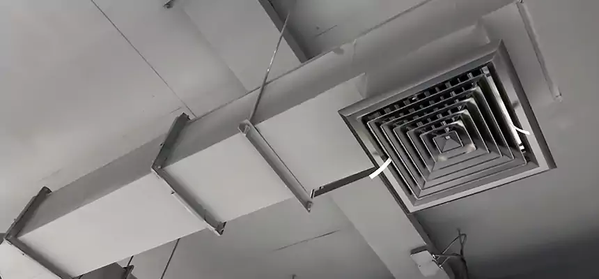 Our Rodent Droppings In Vents Services in Islip, NY