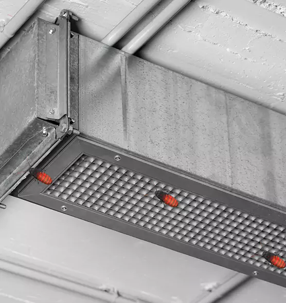About Air Duct Cockroach Removal in Islip, NY