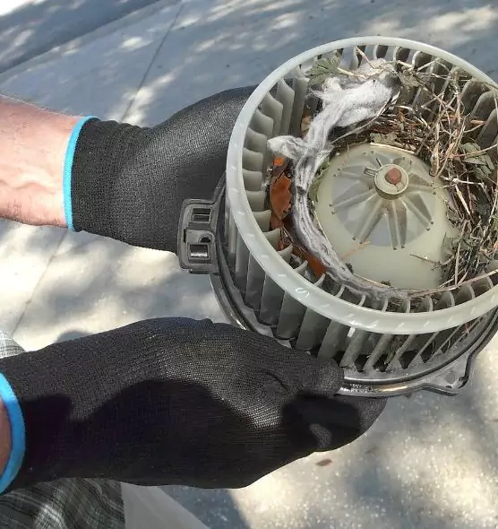 About Air Duct Mice Removal in Islip, NY