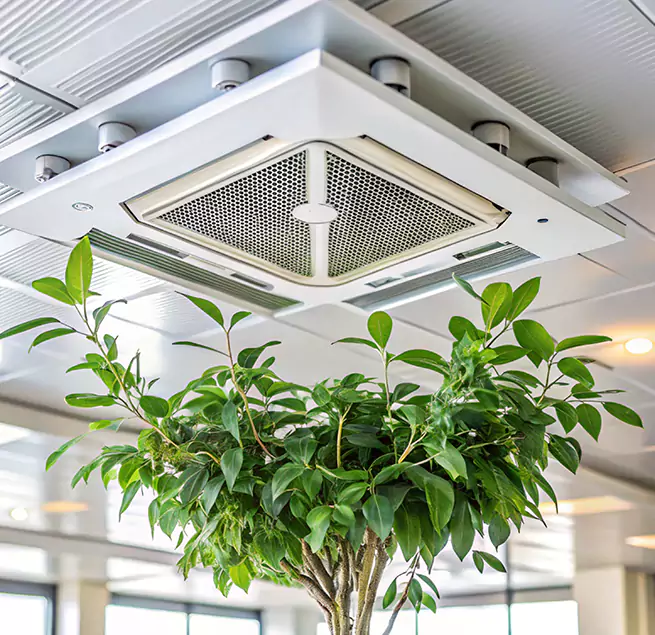 Why Homeowners & Businesses Trust Us in Islip, NY